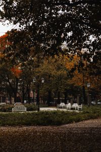 Kaboompics - Formal City Park with White Benches and Autumn Trees