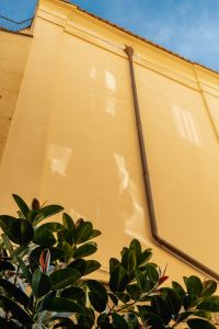 Kaboompics - Sunlit Yellow Courtyard Wall With Downspout and Shrub in Naples