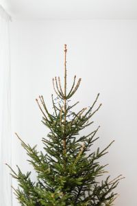 Kaboompics - Sparse Christmas Tree Against a Light Wall