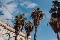 Kaboompics - Tall Palm Trees Beside a Historic Building in Naples