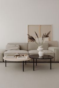 Warm Minimal Living Room Decor with Greige Sofa and Travertine Tables