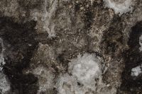 Kaboompics - Mottled Gray Rock Texture with Broad White Mineral Patches
