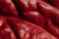 Kaboompics - Overlapping Crimson Leaves with Broad Folded Forms and Glossy Highlights