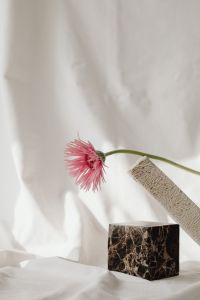 Kaboompics - Minimal Flower Study against White Textile Folds