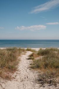 Kaboompics - Sandy Path Through Dunes to the Ocean