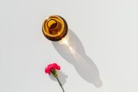 Kaboompics - Pink Carnation beside an Amber Glass Vase with Long Sunlit Shadows on White