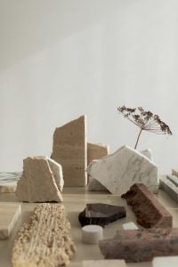 Kaboompics - Minimal Material Sample Arrangement with Dried Flower and Copy Space