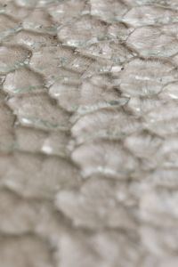 Kaboompics - Close-Up of Irregular Faceted Glass Pattern in Soft Neutral Tones