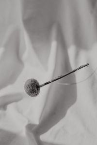 Kaboompics - Abstract Flower Arrangement on Draped White Fabric