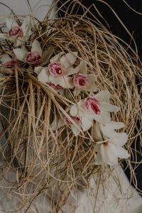 Kaboompics - White Orchids and Dried Grass on Black Background