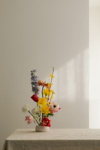 Kaboompics - Pastel Spring Flowers Against a Sunlit Wall With Copy Space