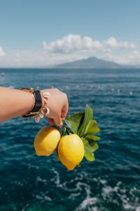 Kaboompics - Wristwatch and Lemons over a Mountain-Backed Bay