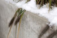 Kaboompics - Snow-Lined Concrete Garden Planter with Drooping Foxtail Grasses, Winter Landscape