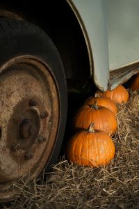 Kaboompics - Orange Pumpkins Beside a Weathered Truck Wheel