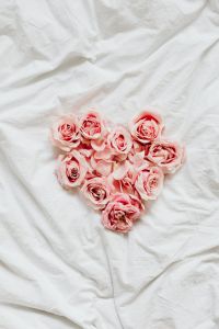 Kaboompics - Heart-Shaped Pink Rose Petals on White Bedding, Romantic Valentine’s Day Background