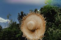 Kaboompics - Straw Sun Hat Close-Up against Lush Green Trees in Vintage Film Style