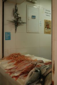 Kaboompics - Fresh Fish Display at Malaga Market