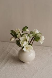Kaboompics - Close-Up White Flower Arrangement in a Rounded Ceramic Vase