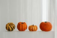 Kaboompics - Mixed Pumpkins Arranged on White Steps