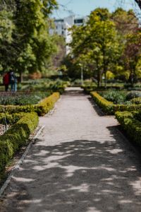 Kaboompics - Real Jardin Botanico, Madrid, Spain
