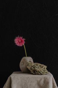 Kaboompics - Single Pink Flower in Sculptural Vase with Dried Grass