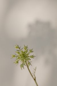 Kaboompics - Bright and warm free backgrounds or wallpapers