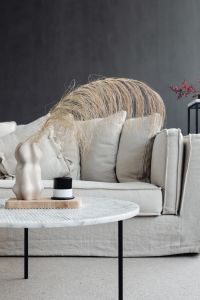 Kaboompics - Sculptural Vase with Pampas Grass by a White Sofa