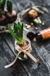 Kaboompics - Woman making a little ornamental seedling in a small jar