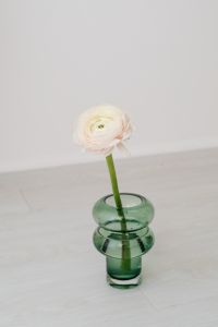 Kaboompics - Single White Ranunculus Stem in a Green Glass Bottle for Neutral Decor