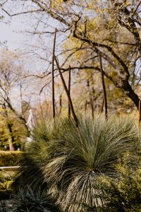 Kaboompics - Real Jardin Botanico, Madrid, Spain