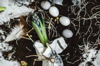 Kaboompics - Seedlings on a newspaper cover table with quail eggs