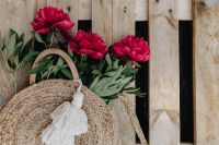 Kaboompics - Blooming red peonies