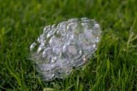 Kaboompics - Close-Up of an Iridescent Soap Bubble Cluster on Green Grass