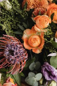 Kaboompics - Peach Rose and Protea-Like Flower Close-Up