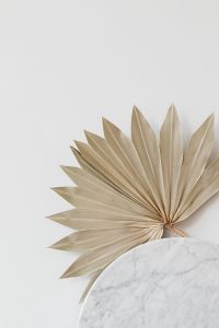 Kaboompics - Dried Fan Palm Leaf with Marble Detail for Natural Wallpaper and Decor