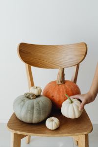 Kaboompics - Hand Arranging Pumpkins on a Chair