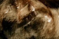 Kaboompics - Golden Light Painting Swirls on Black, Dramatic Motion Blur Background for Editorial Design