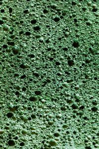 Dark Green Cellular Macro Texture with Irregular Pores for Abstract Background Design