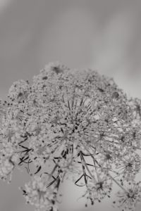 Kaboompics - Bright and warm free backgrounds or wallpapers