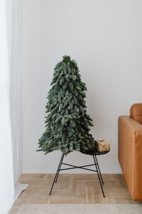 Kaboompics - Christmas tree with a small gift
