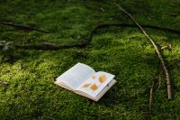 Kaboompics - Open Book with Pressed Autumn Leaves on Forest Moss, Nature Reading Background