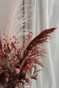 Kaboompics - Blush Dried Bouquet Detail Against Sheer White Curtain