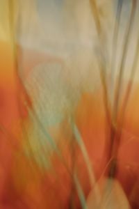 Experimental Abstract Backgrounds and Artistic Wallpapers