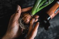 Kaboompics - Woman making a little ornamental seedling in a small jar