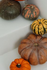 Kaboompics - Colorful Autumn Pumpkins on White Geometric Steps