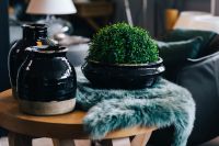 Kaboompics - Green plant in a black pot with black jars and a soft cyan rug