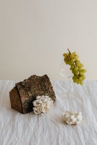 Kaboompics - White Mushroom and Bark Still Life on Neutral Background