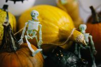 Kaboompics - Pumpkins & Halloween