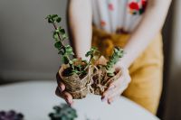 Kaboompics - Hands Holding a Burlap-Wrapped Succulent Pot Above a White Table