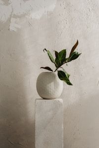 Kaboompics - Green Leaves and White Ceramic Vase with Sheer Curtain Copy Space